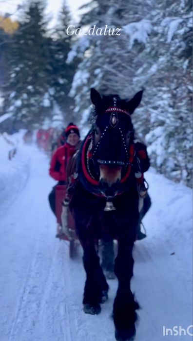 Kulig w Gorcach , biesiada, oprawy kulinarne w regionalnym stylu