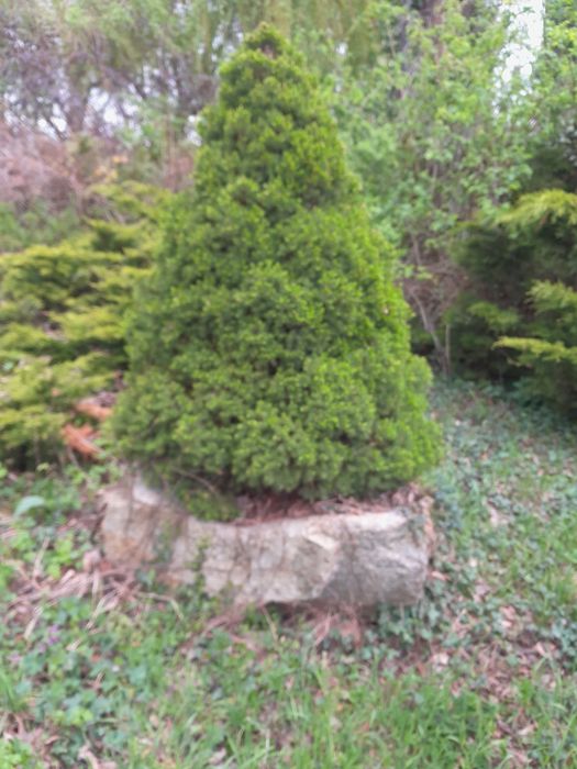 Donica granitowa , donica do ogrodu z kamienia