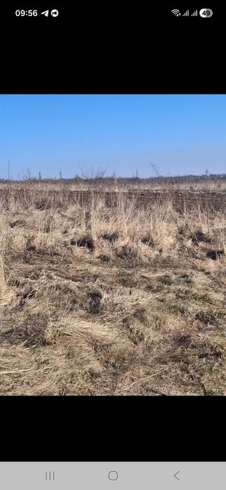 Продаж.Земельна ділянка в с.Годовиця 72 сотки ОСГ