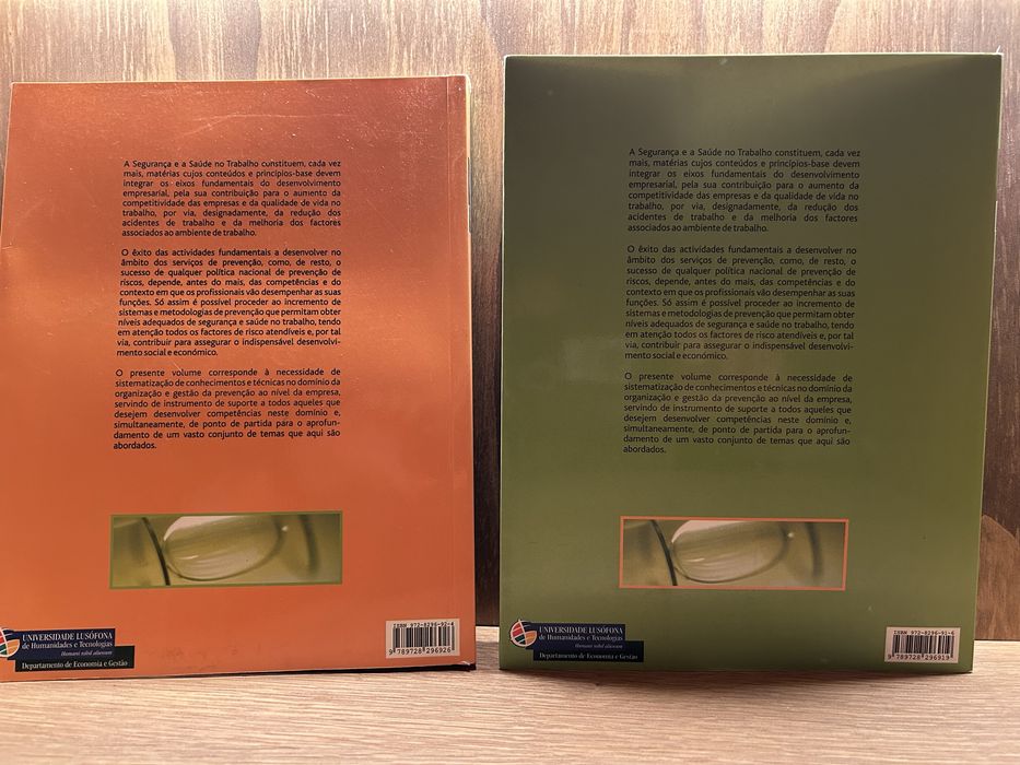 Gestão da Segurança e Saúde no Trabalho Luis Conceição Freitas