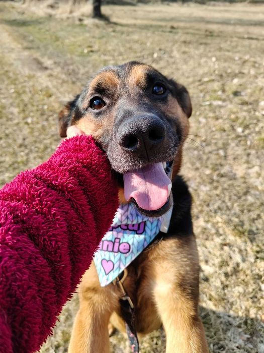 Grzesio czeka na swój dom