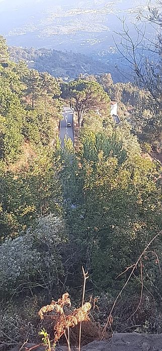 Quinta com casa para restaurar