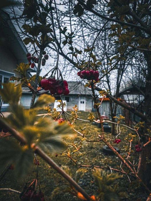 Продається домогосподарство 200м2  біля Франківська, с. Марківці