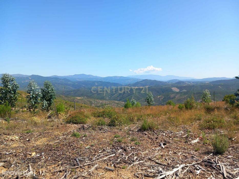 Terreno Rustico, Roqueiro