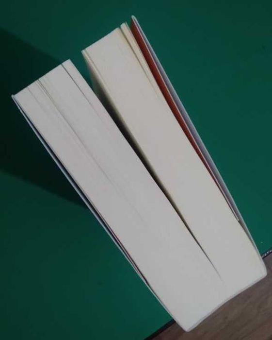 Shantaram - Gregory David Roberts