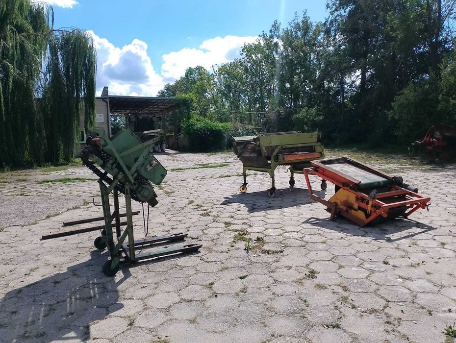 sortownik do ziemniaków i cebuli