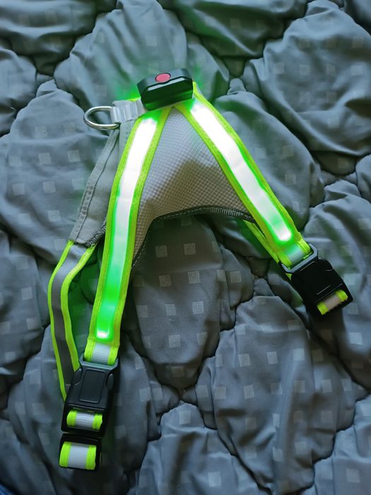 Шлея для собак ошийник  світлодіодний M і поводок іграшки для тварин