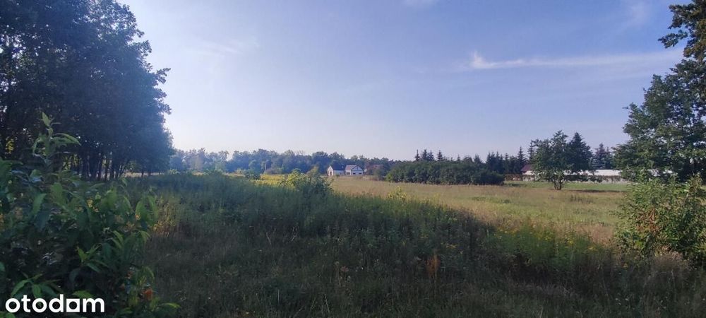 Zdjęcie 4