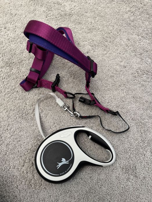 Arnês e trela extensível ajustável