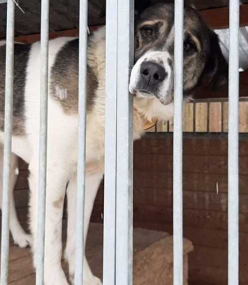 Pokochaj przemiłego Bena!