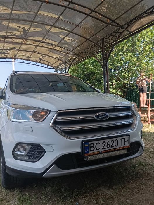 авто форд куга  паркитник