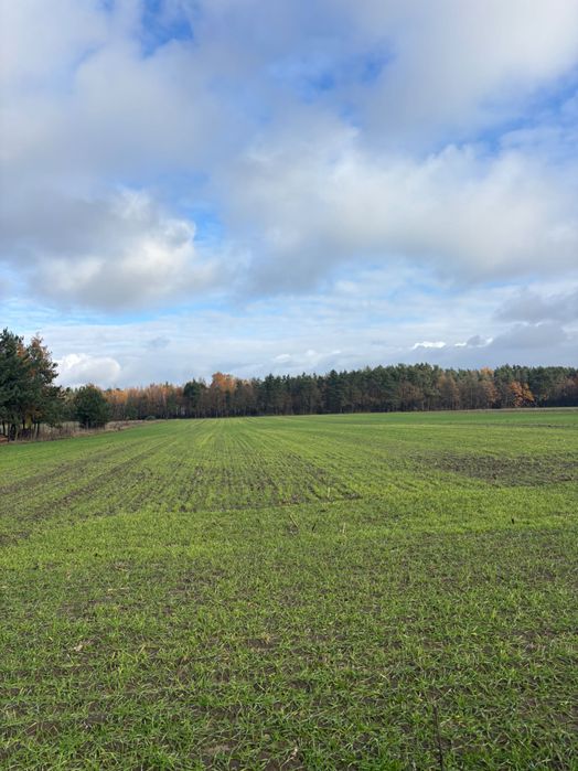 Działka budowlana na sprzedaż.