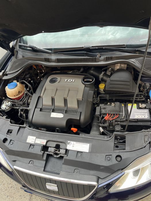 SEAT Ibiza 2011 VIN VSSZZZ6JZBR123095 фото оголошення 8 з 8