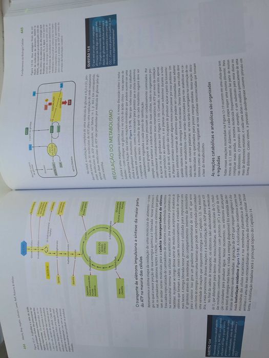 Livro fundanentos de biologia celular