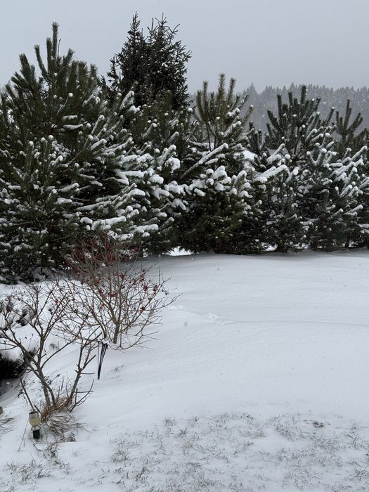 Будинок в Карпатах близько ГК Плай, СПА, ліс. Котедж 140 км від Львова