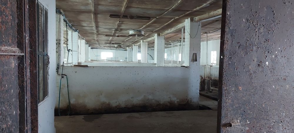 Продам ферму хозяйство ранчо