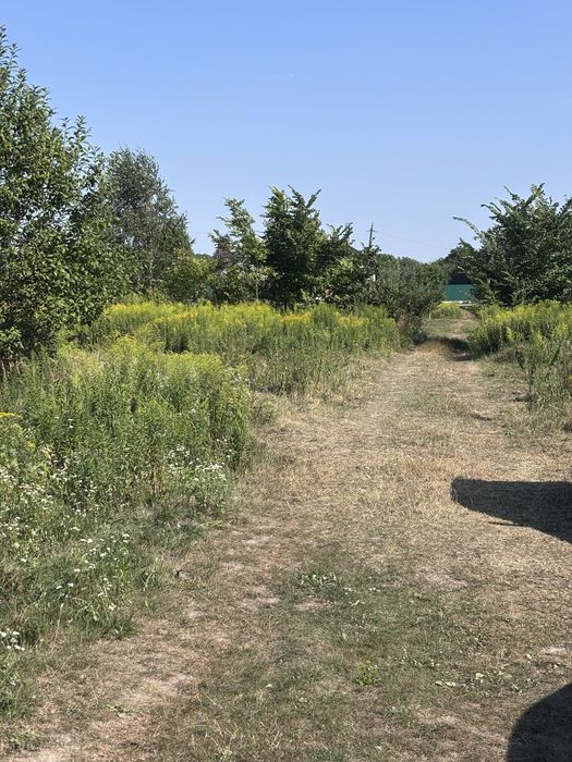Продаж ділянки під ОСГ, Рясне, Камʼянка, 6 сот 15000$