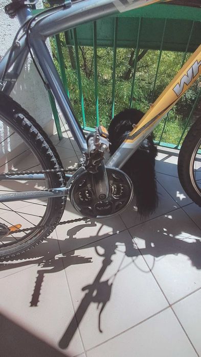 Sprzedam rower marki Wheeler