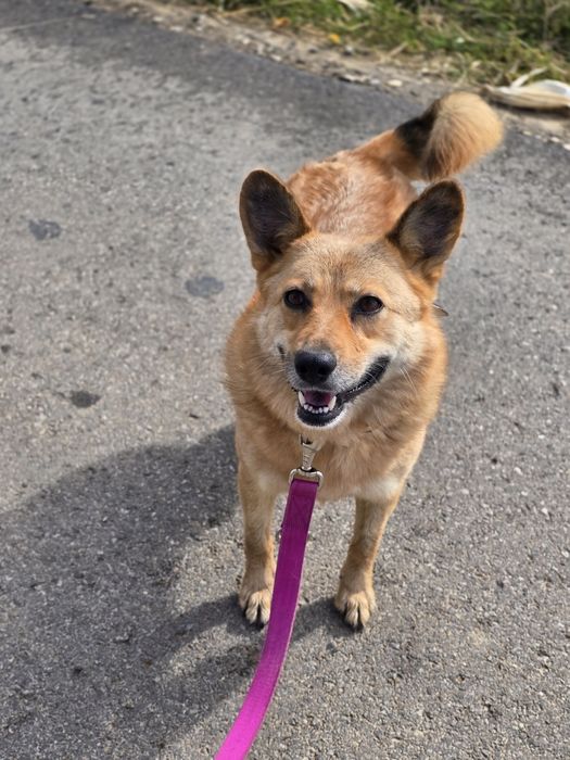 Uśmiechnięta Sally