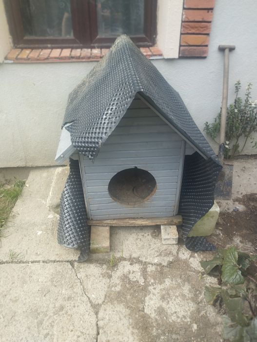 Sprzedam budę dla psa