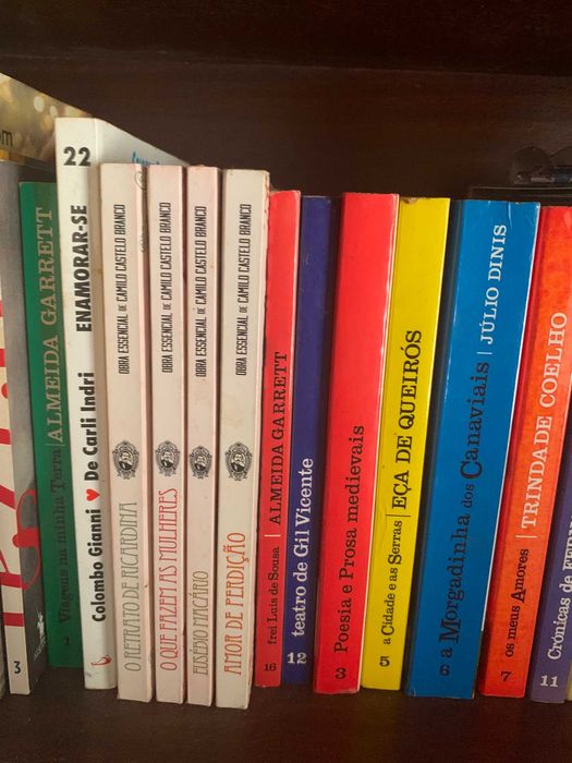Lote Clássicos da Literatura Portuguesa (Camilo, Eça, Garrett, Júlio Dinis, etc.)
