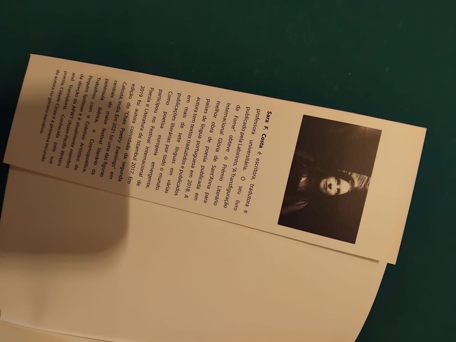 Livro “Cidade Cinza”