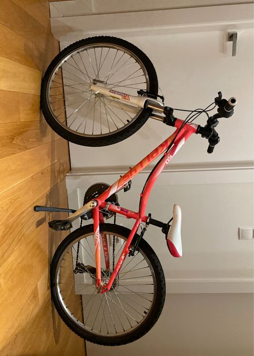 Rower górski marki Kelly’s
