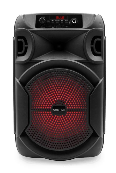 Głośnik bluetooth przenośny Squeak PulseTower radio FM USB-C AUX 35W