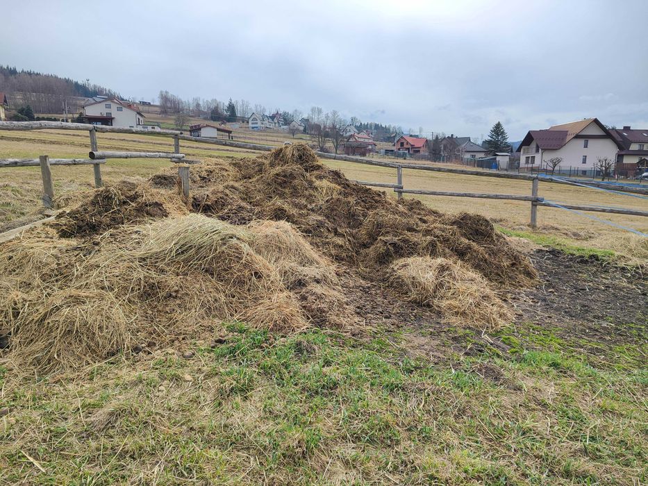 Oddam obornik koński