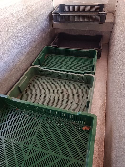 Продам морозильні камери