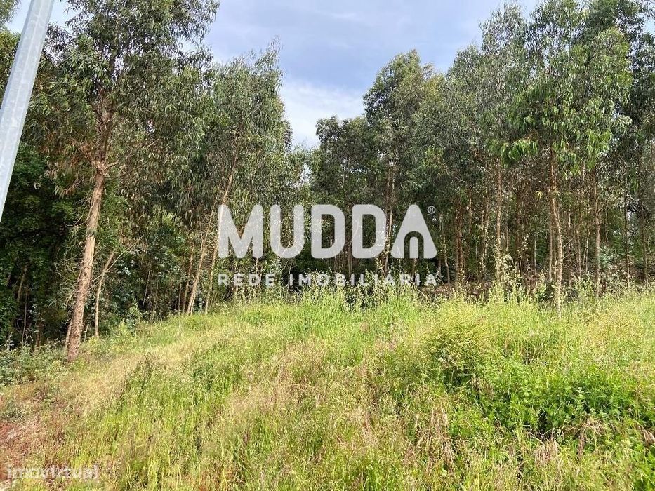 Terreno com 2.900 m2, rústico, com possibilidade de construção, em Cré