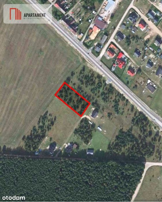 Bogato zalesiona działka z widokiem na las - Widok 4