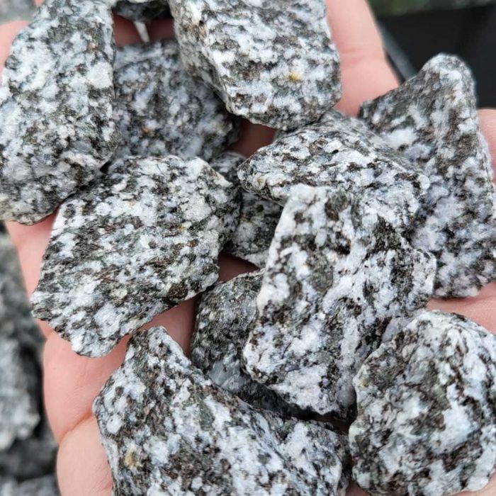 Grys Granodioryt 16-22 mm Sjenit dalmatyńczyk odwrócony Kamień ozdobny
