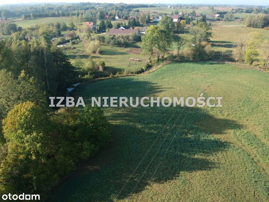 Działka, Bienie - Widok 3