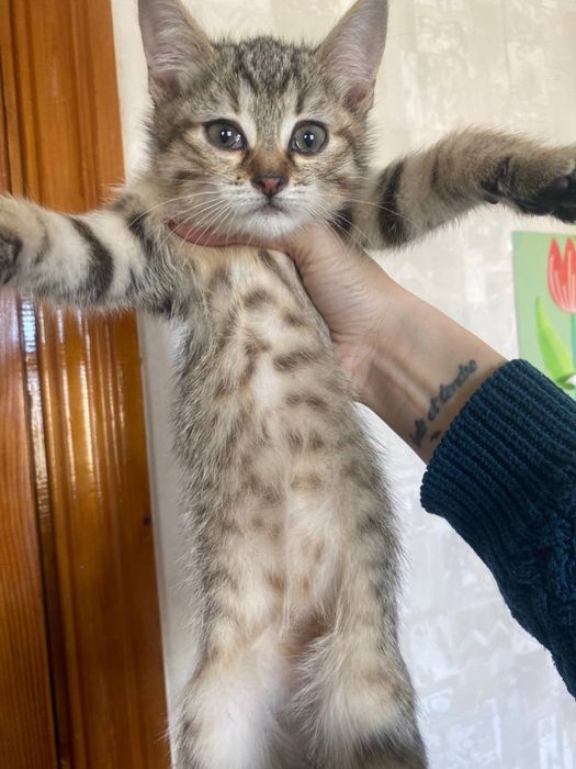 Радость в дом к деткам