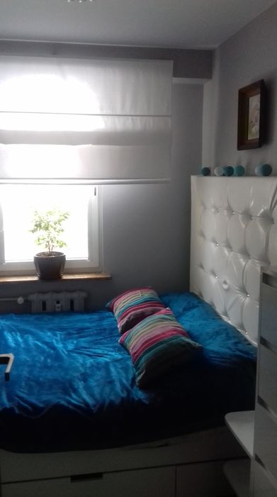 mieszkanie do wynajęcia