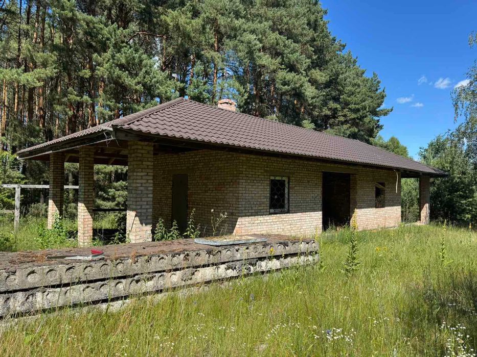 Будинок у сосновому лісі з земельною ділянкою 1 га - Pogled 5