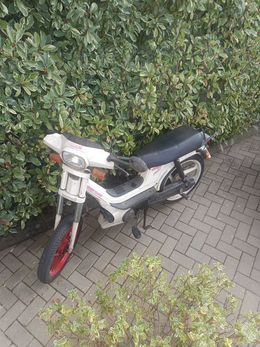 Ciclomotor/Scooter Derby Avant