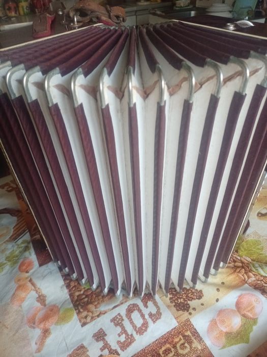 Продам аккордион "Finotte"