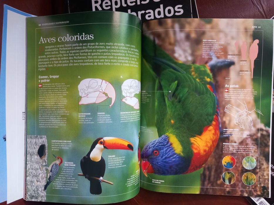 Enciclopédia visual, Editorial Sol 90