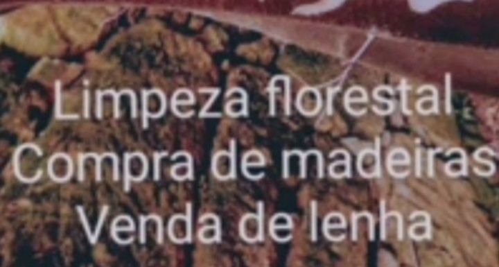 Limpeza Florestal