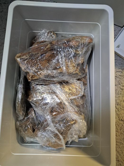 Kamienie dragon stone