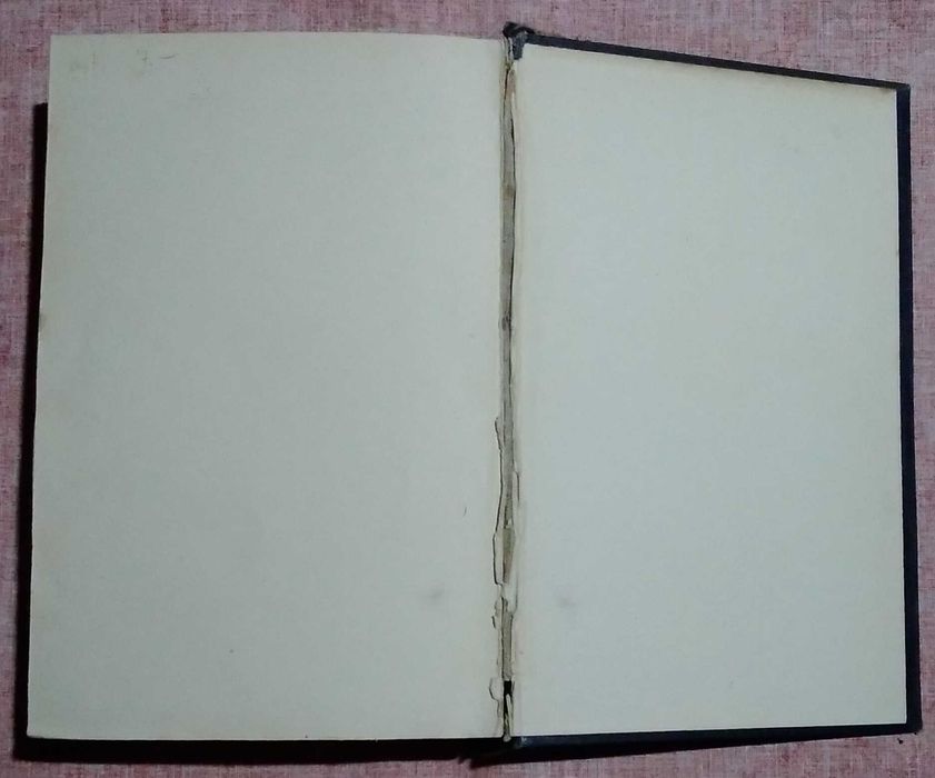 Deutsche Literaturgeschichte - prof Kurz 1927 unikat