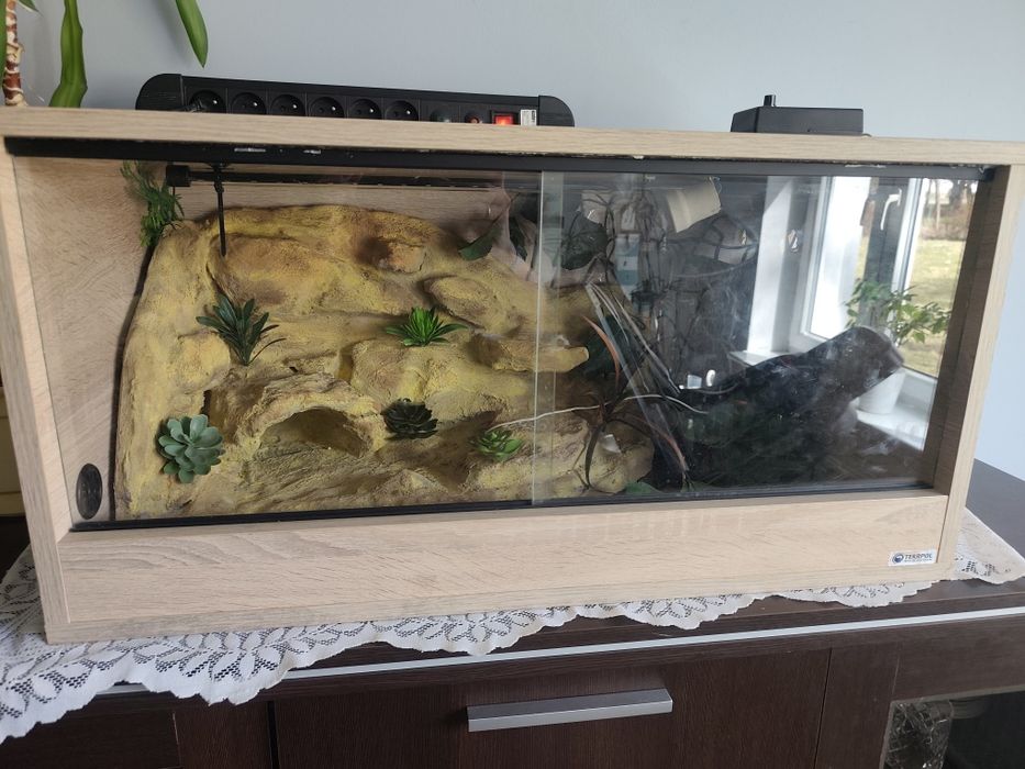 Terrarium dla gadów z wyposażeniem