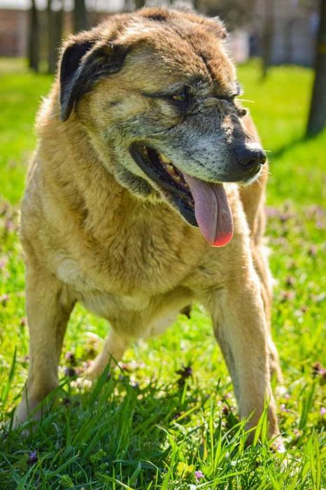 Ciekawska i pogodna Zosia