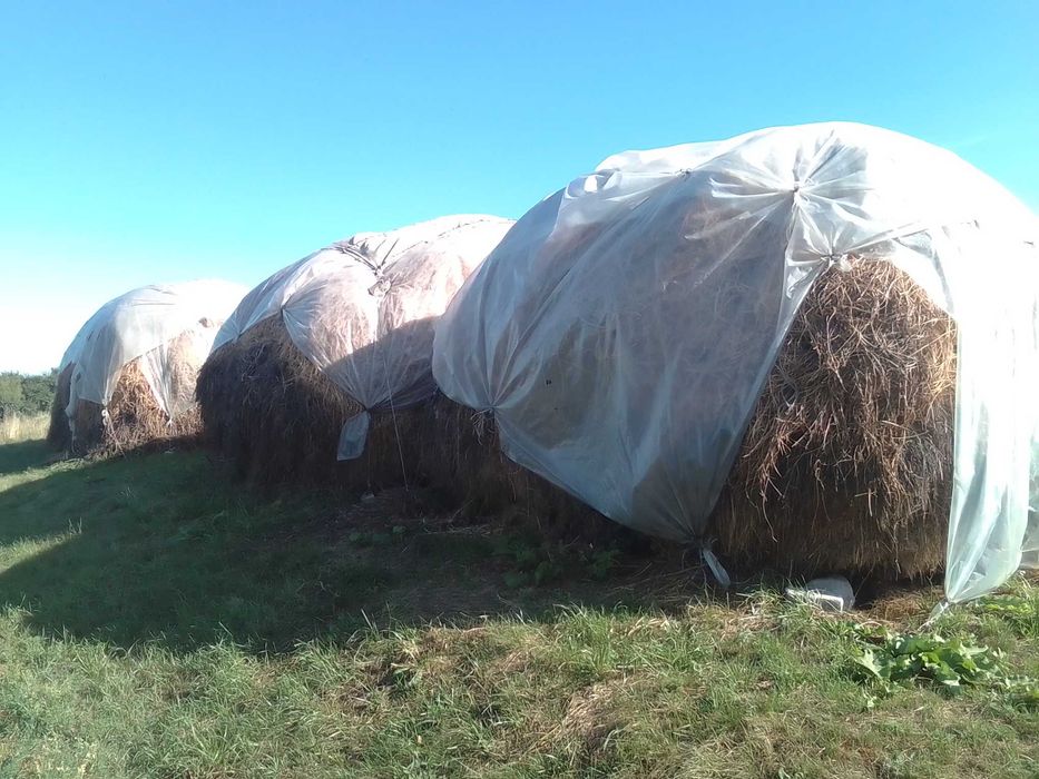 Продам сіно степове
