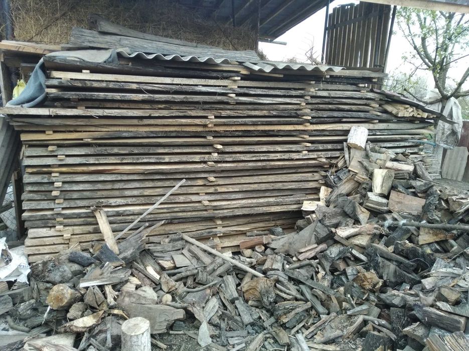 Дуб морений bog oak