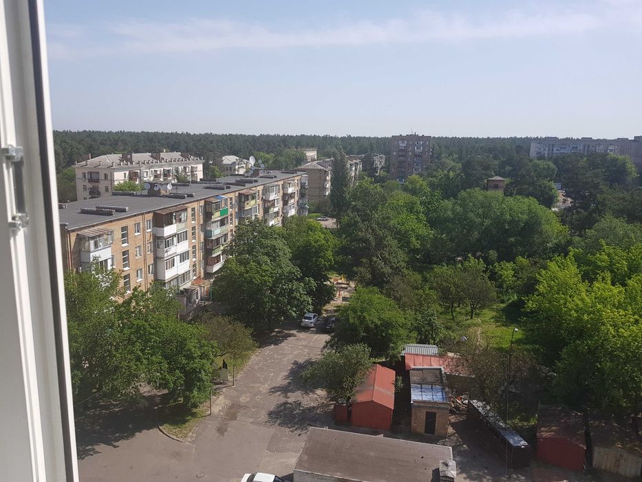 Квартира-телепорт в тишину. Ретро-уют на ДВРЗ с видом на лес.