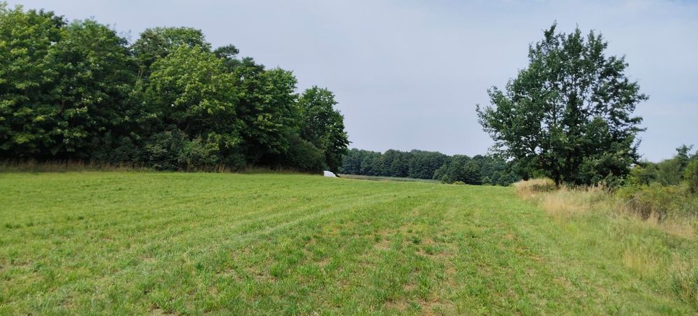 Działka nad jeziorem
