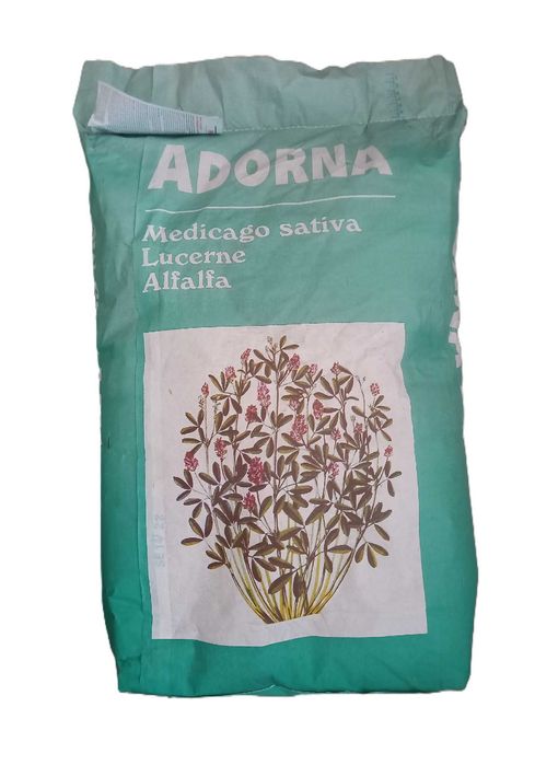 Lucerna otoczkowana Adorna worek 25kg, lucerna Adorna, nasiona lucerny